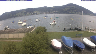Preview webcam image Immensee - Lake Zug
