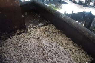 Preview webcam image Wakefield - Falcon Nest