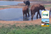 Preview webcam image Tsavo East National Park Kenya - Voi Wildlife Lodge