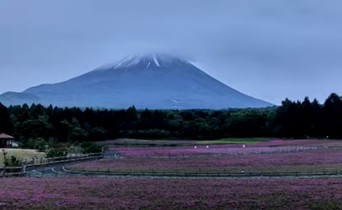 Preview webcam image Yamanashi - Mount Fuji