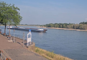 Preview webcam image Rhine River - Promenade Rees