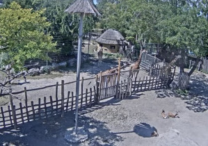 Preview webcam image Budapest - Zoo