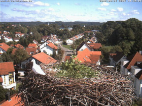 Preview webcam image Bad Waldsee - a nest of nest