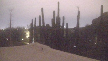 Preview webcam image Phoenix - Desert Botanical Garden